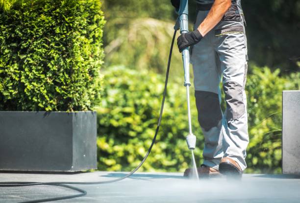 Boat and Dock Cleaning in Arlington, OH